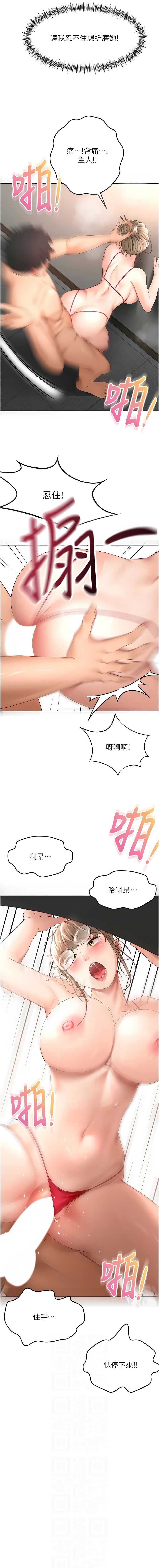顶加套房的春天