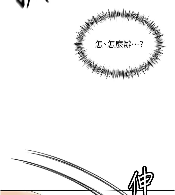 顶加套房的春天