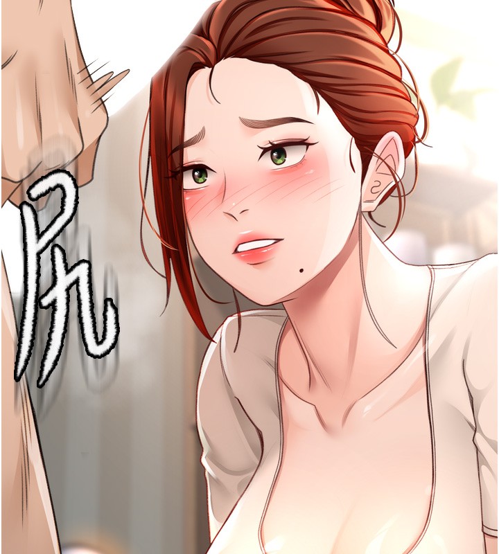 顶加套房的春天