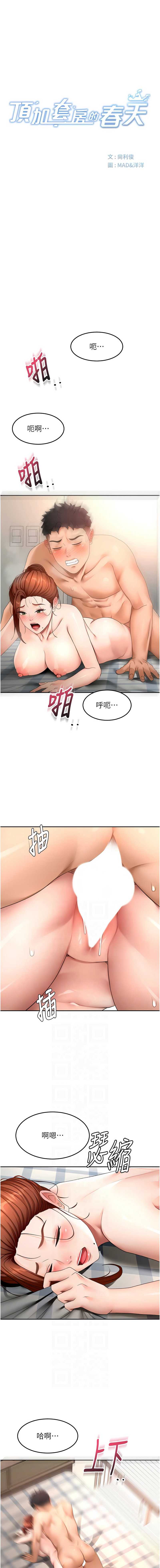 顶加套房的春天