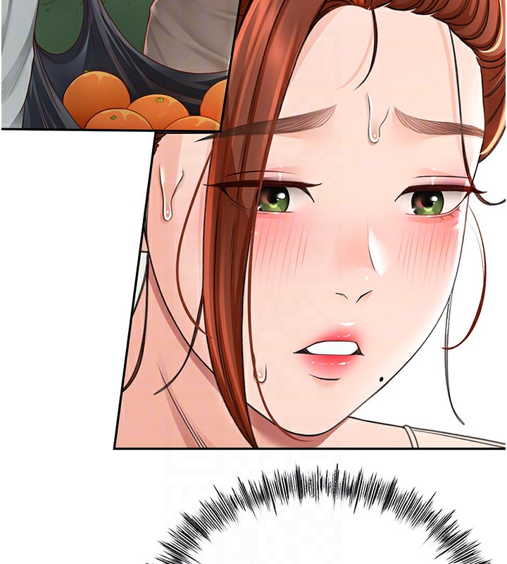 顶加套房的春天
