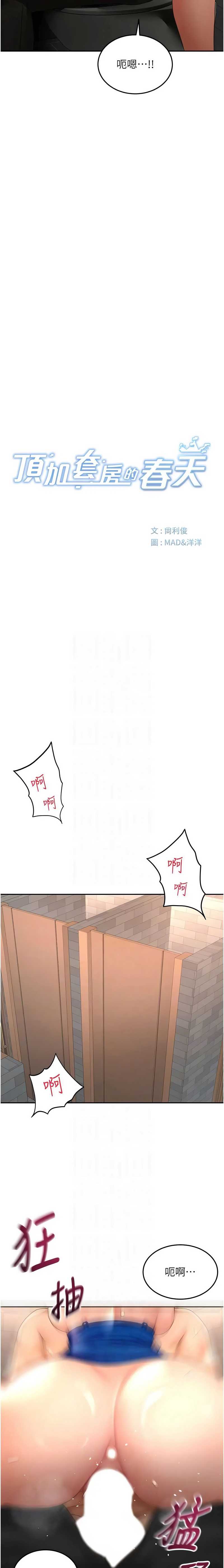 顶加套房的春天