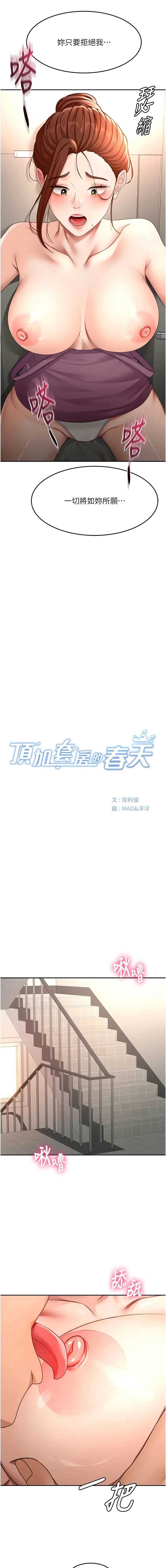 顶加套房的春天