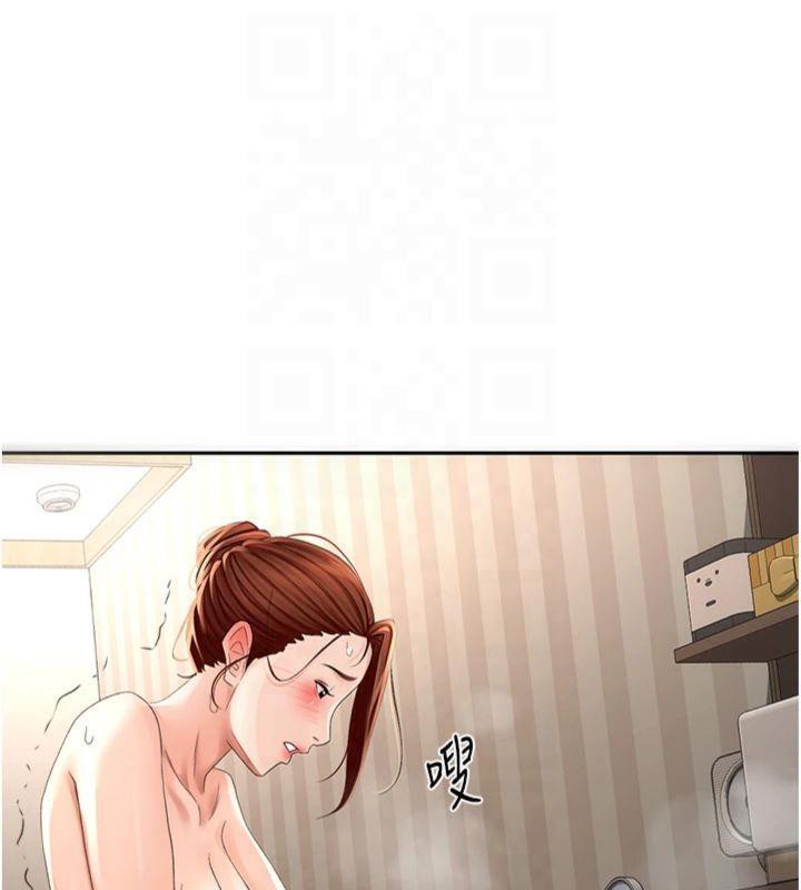 顶加套房的春天