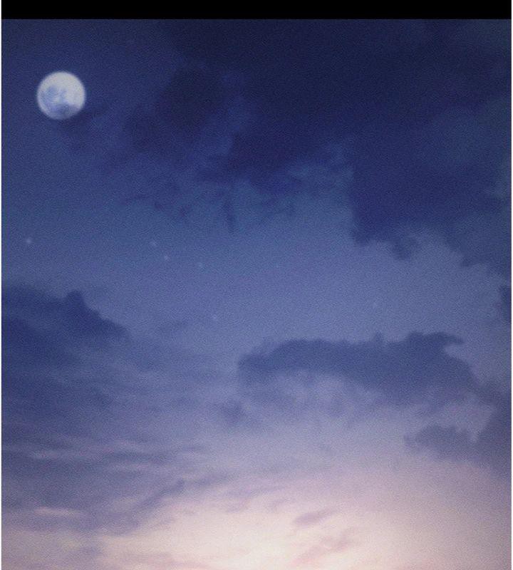 拜脫拜脫App
