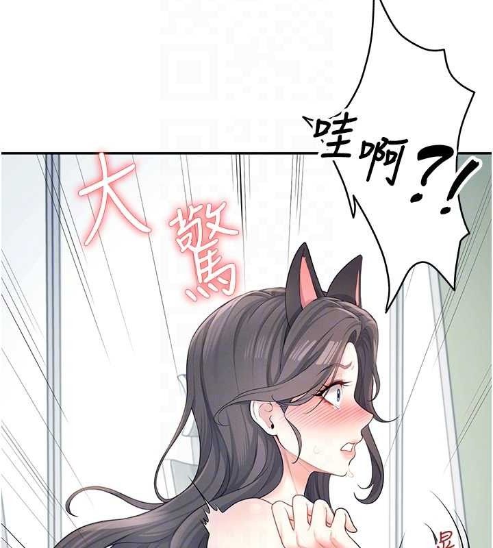 飞机杯女神连线中