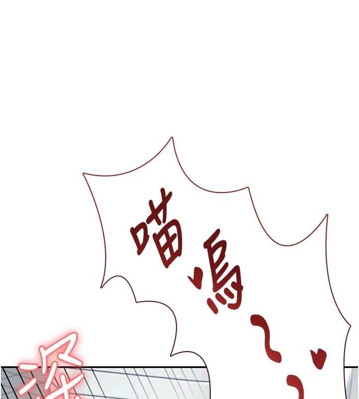 飞机杯女神连线中