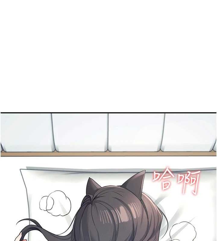 飞机杯女神连线中