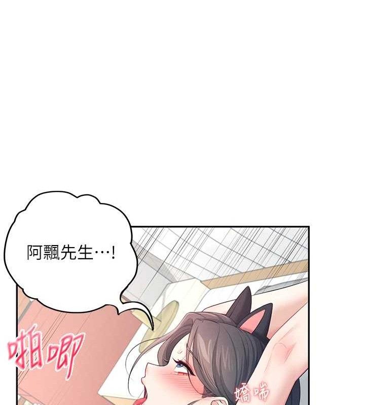 飞机杯女神连线中
