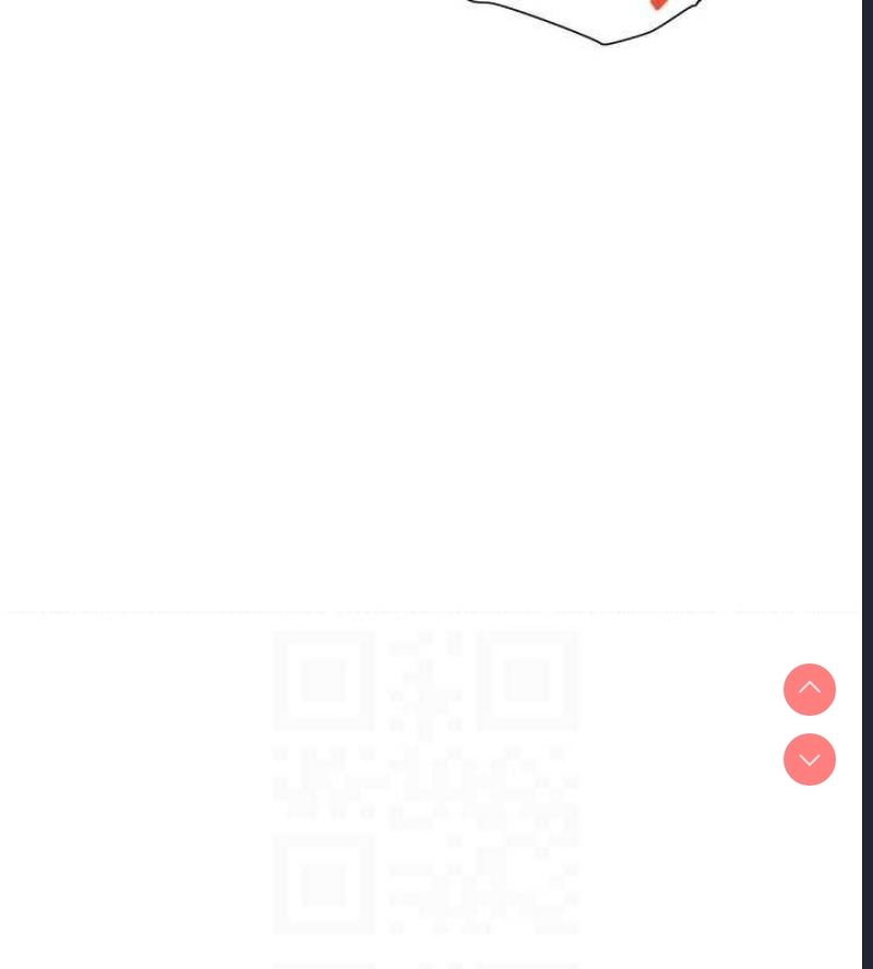 黑道千金