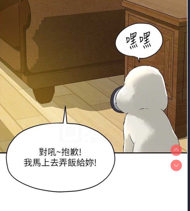 洞洞杂货店