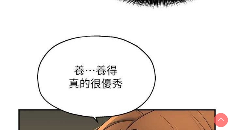 洞洞杂货店