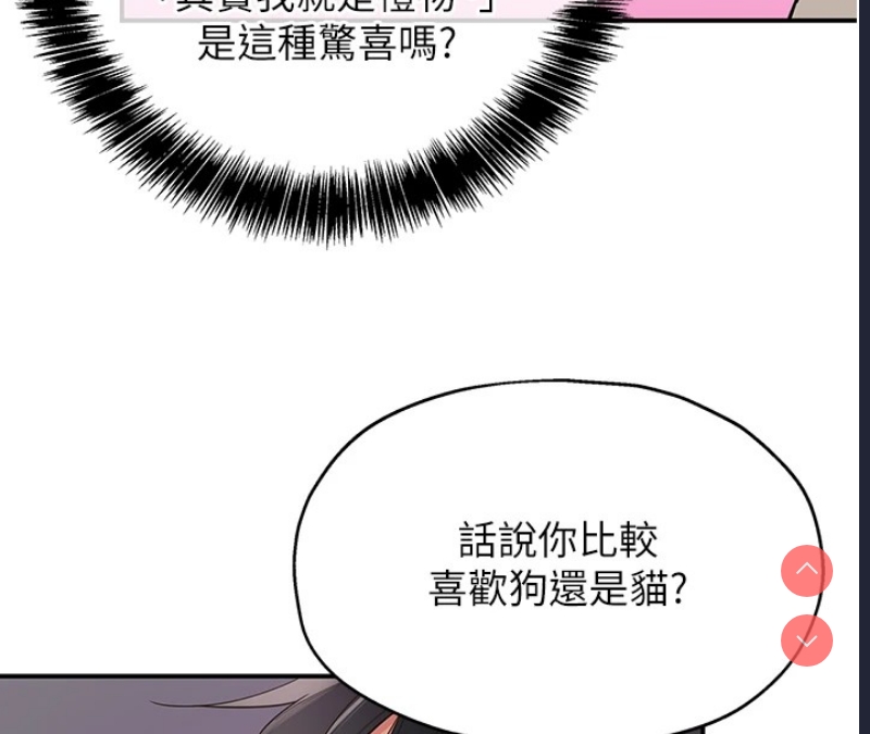 洞洞杂货店
