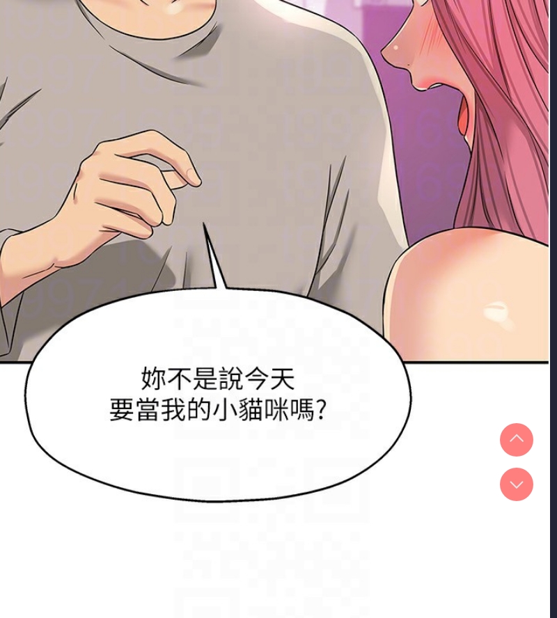 洞洞杂货店