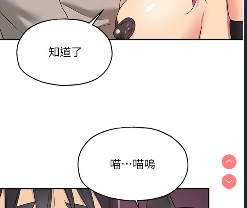 洞洞杂货店