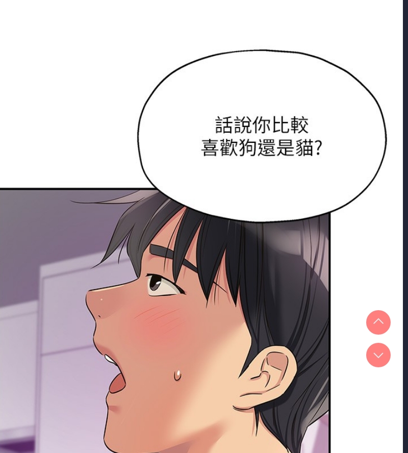 洞洞杂货店