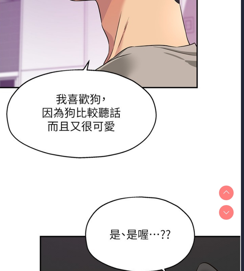 洞洞杂货店