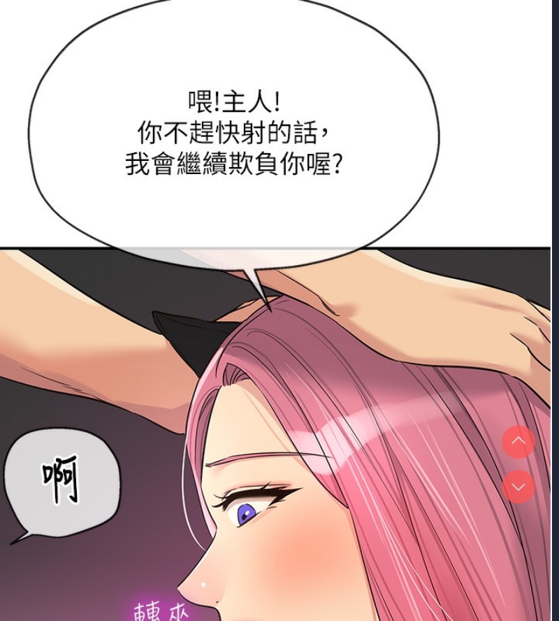 洞洞杂货店