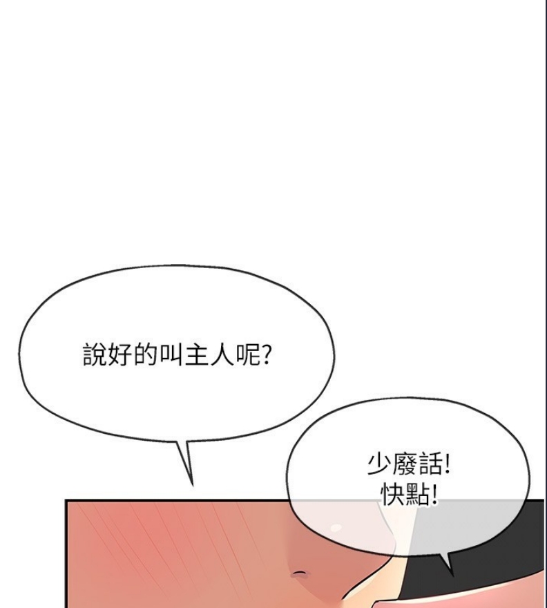 洞洞杂货店