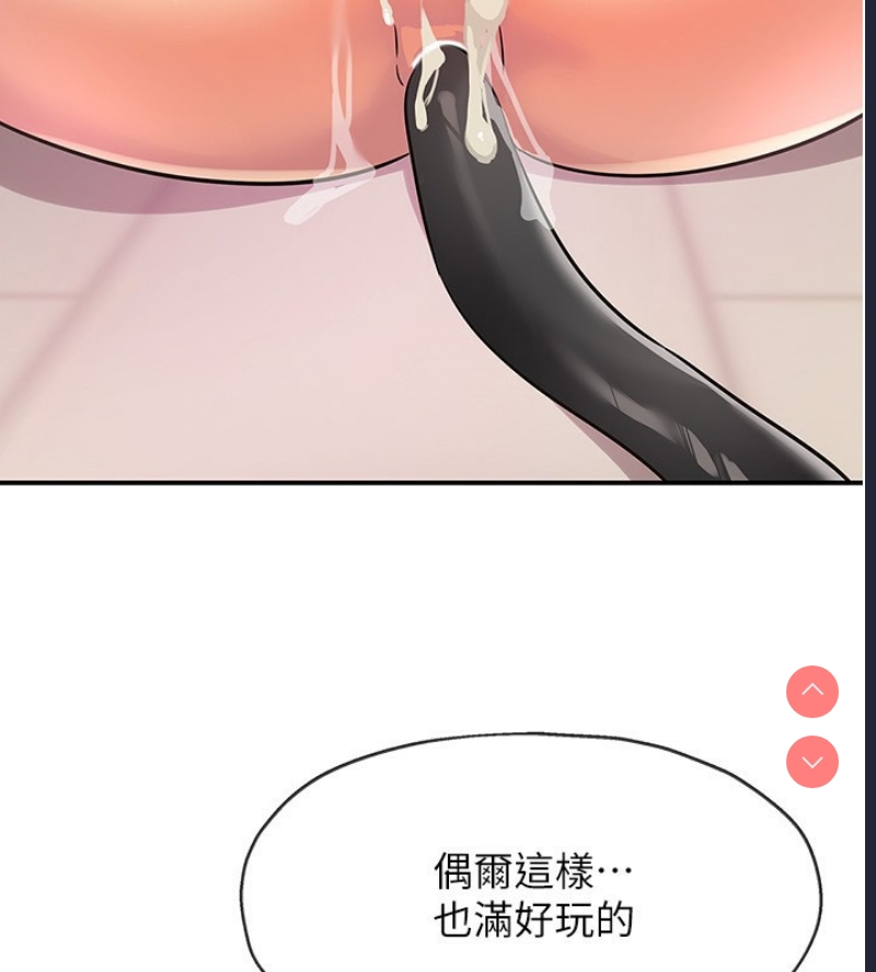 洞洞杂货店