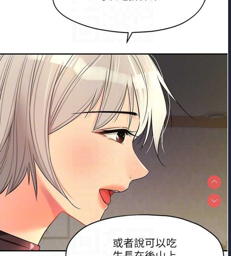 洞洞杂货店