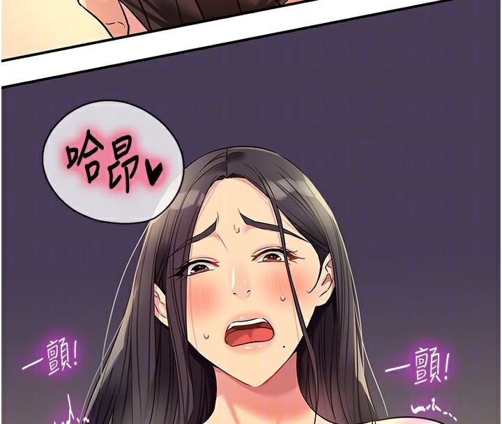 洞洞杂货店