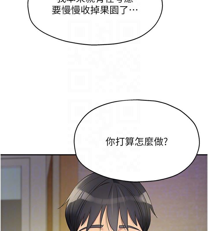 洞洞杂货店