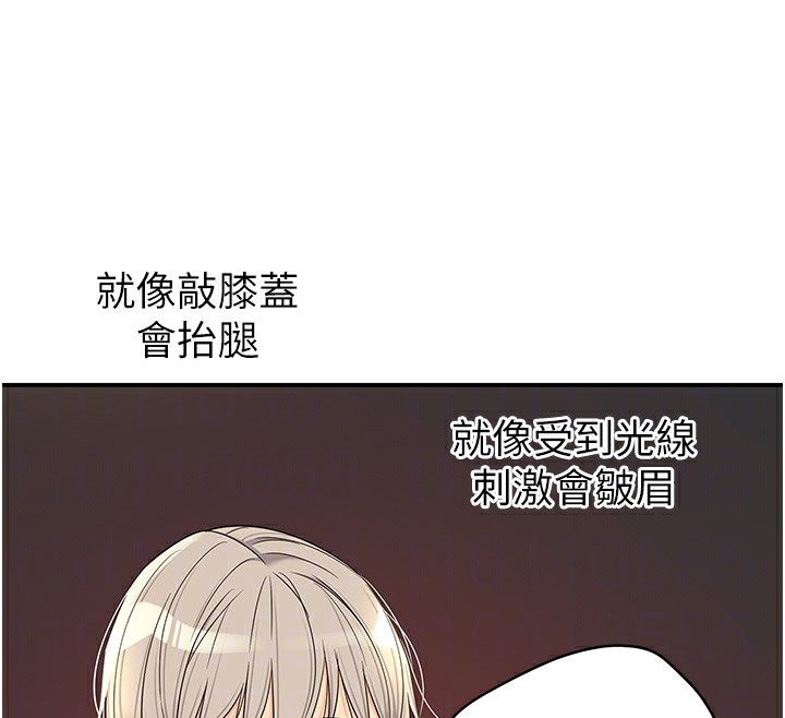 洞洞杂货店
