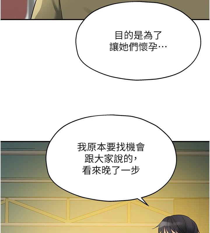 洞洞杂货店