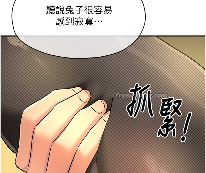 洞洞杂货店