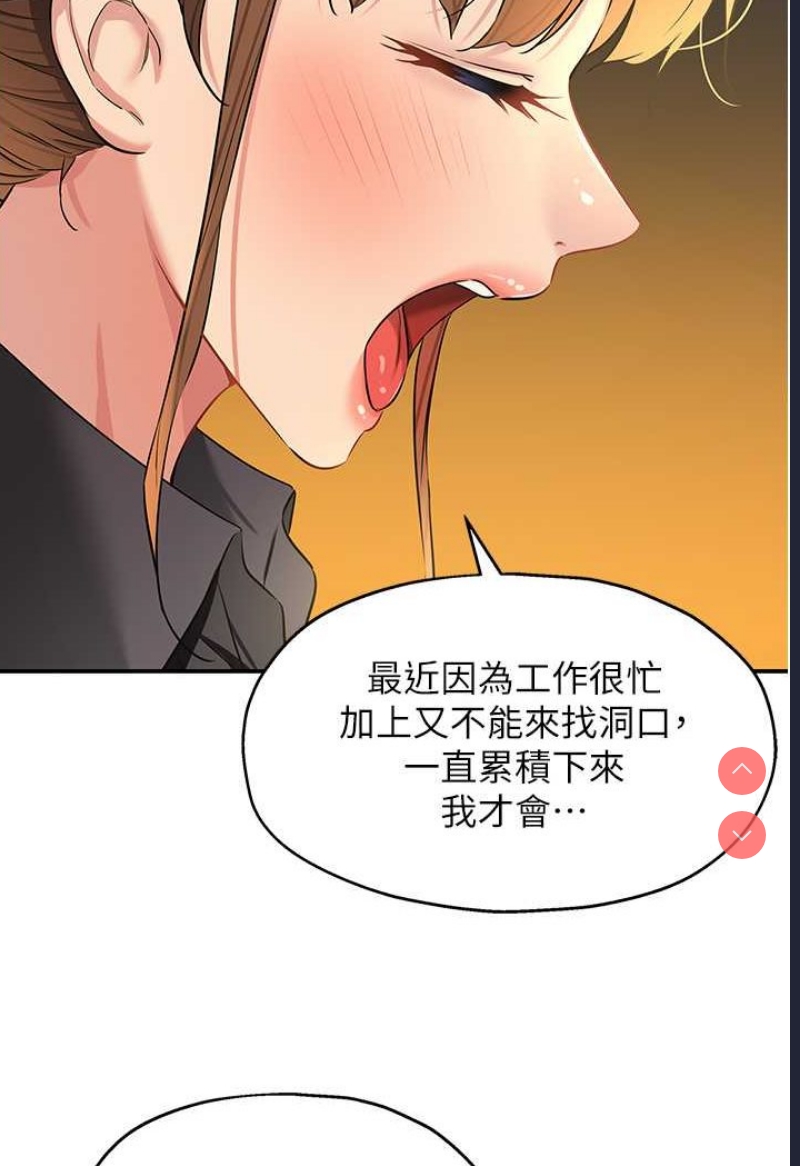 洞洞杂货店