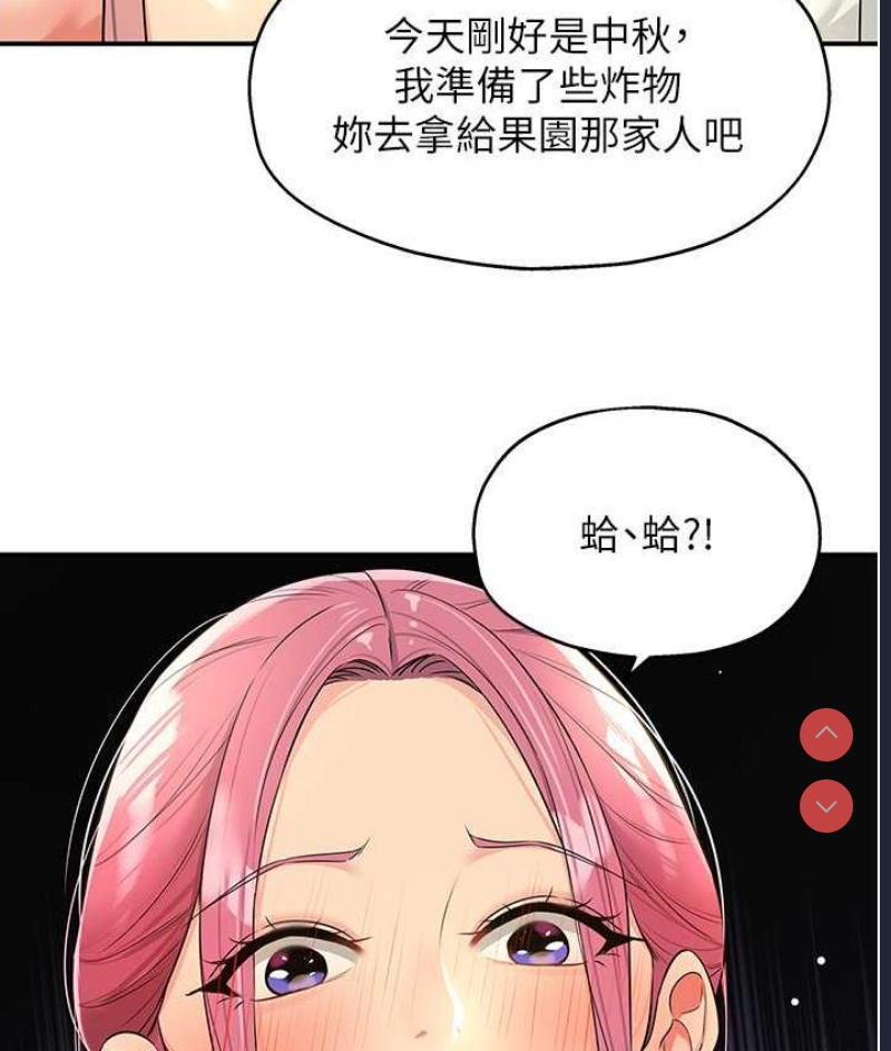洞洞杂货店