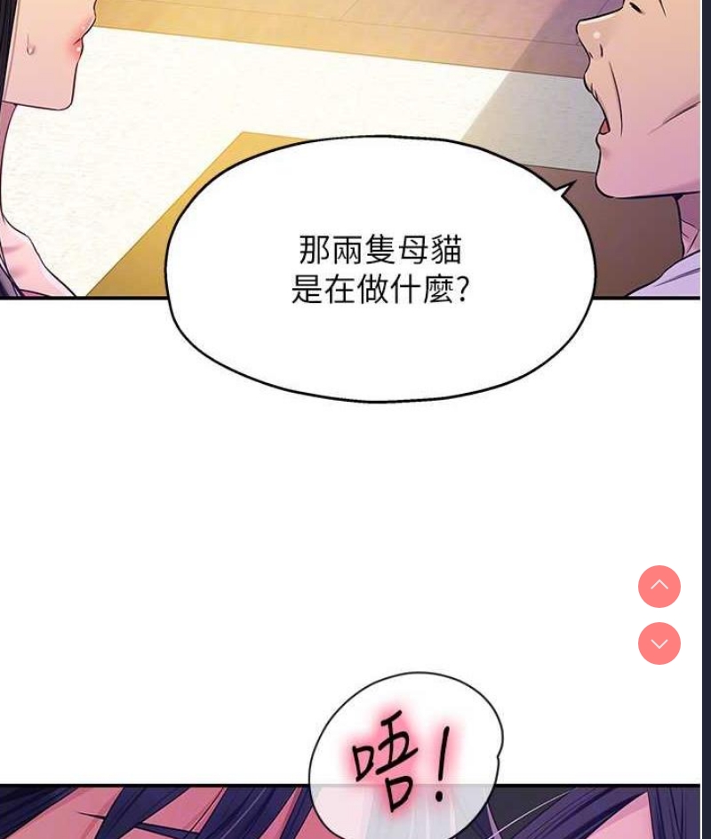 洞洞杂货店