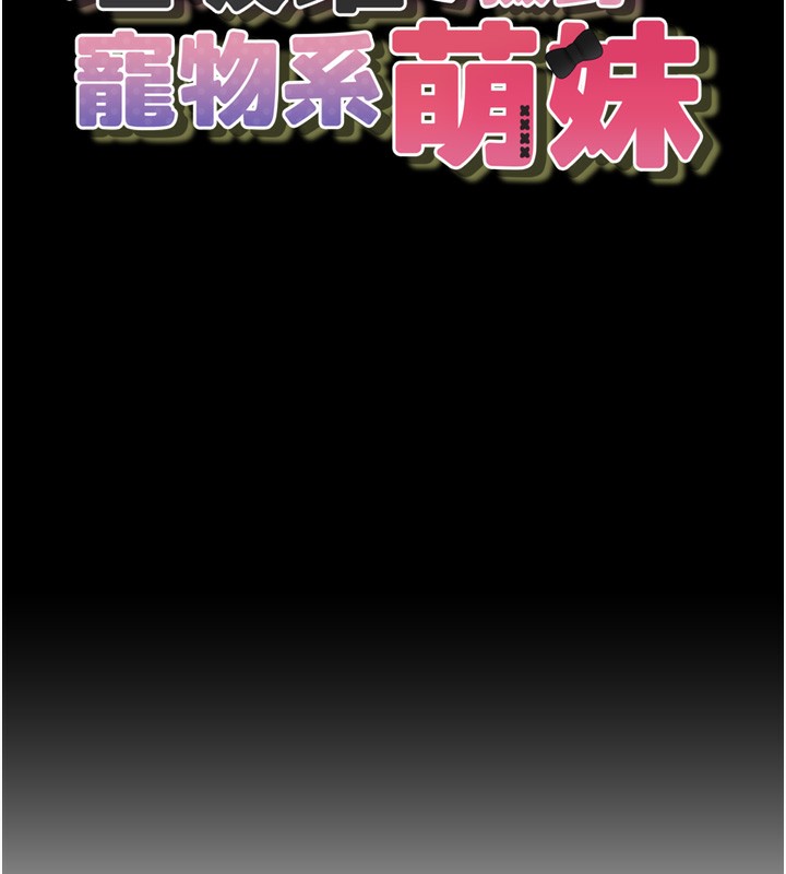 垃圾堆捡到宠物系萌妹