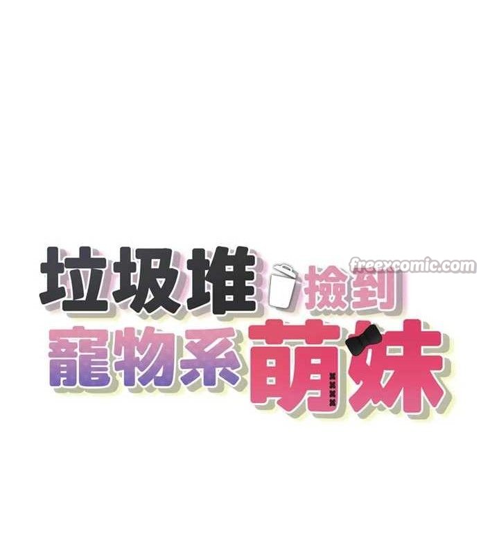 垃圾堆捡到宠物系萌妹