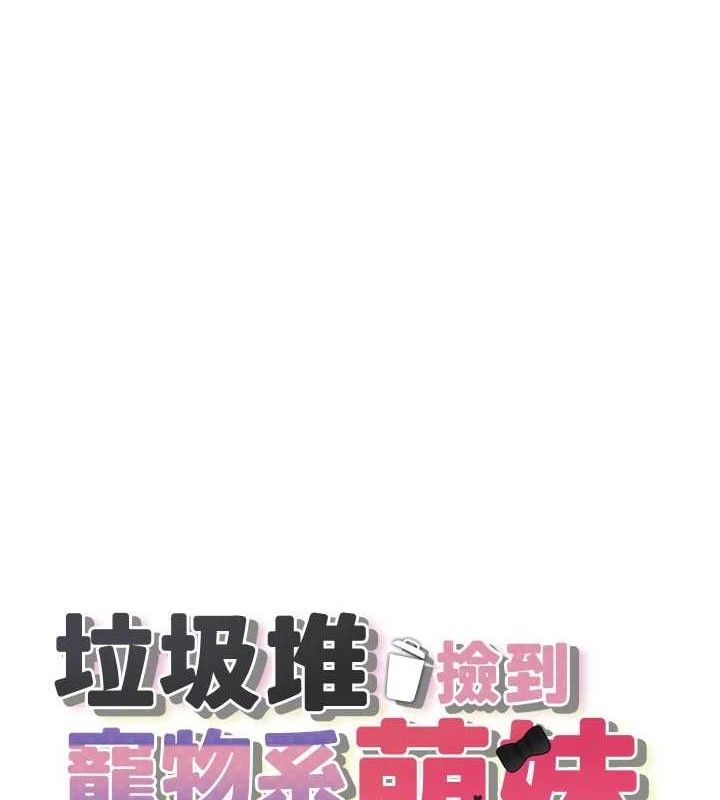垃圾堆捡到宠物系萌妹