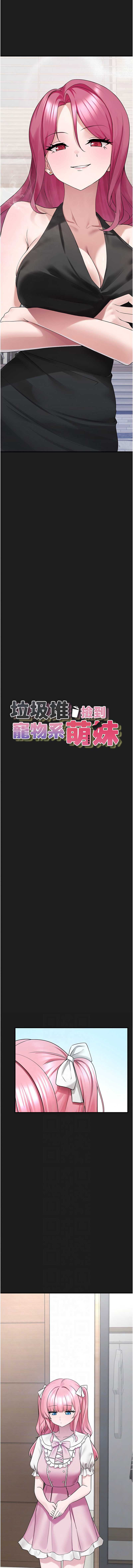 垃圾堆捡到宠物系萌妹