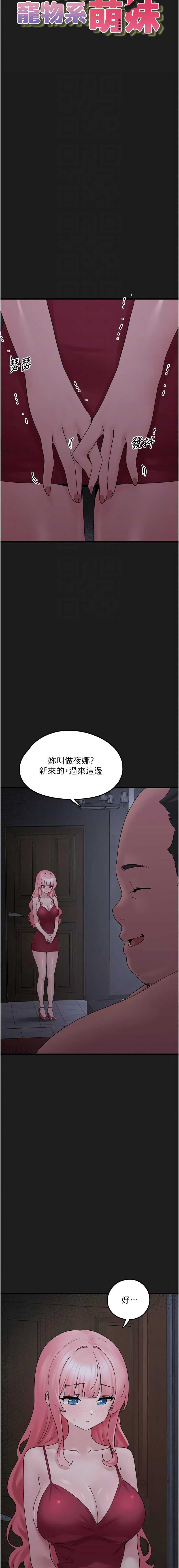 垃圾堆捡到宠物系萌妹