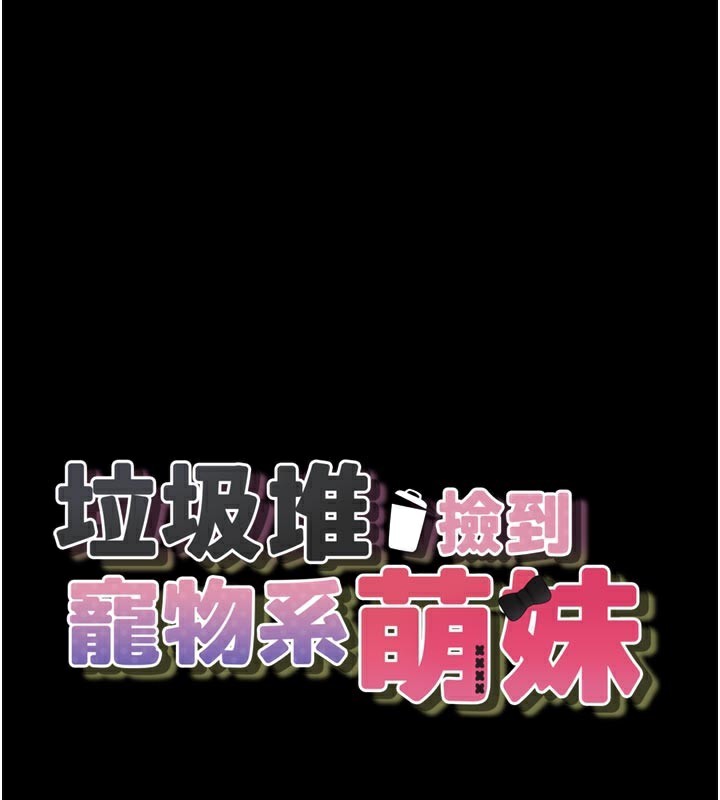 垃圾堆捡到宠物系萌妹