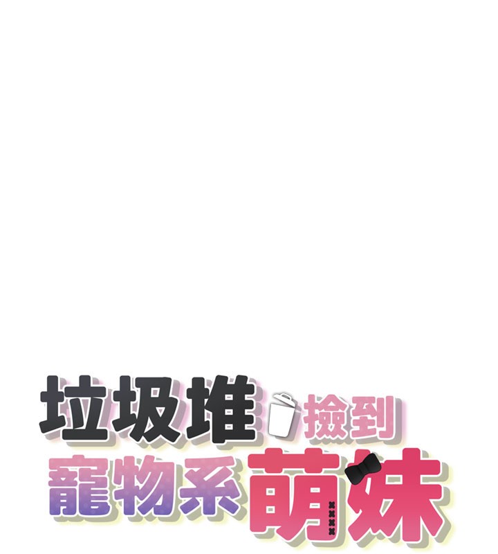 垃圾堆捡到宠物系萌妹
