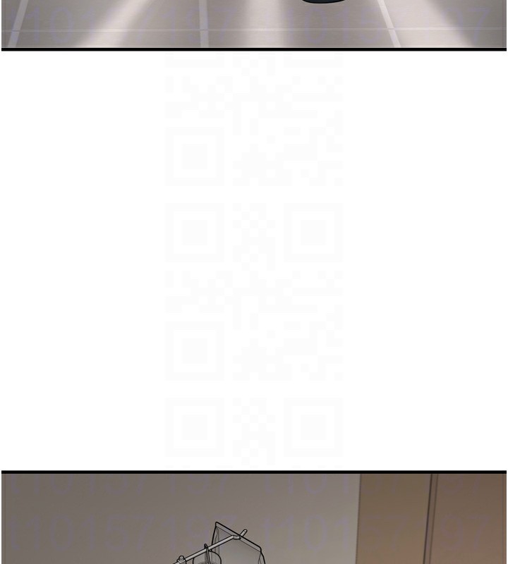 垃圾堆捡到宠物系萌妹