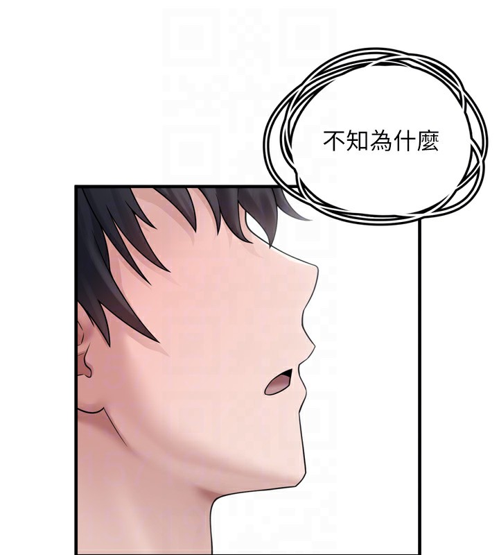 垃圾堆捡到宠物系萌妹