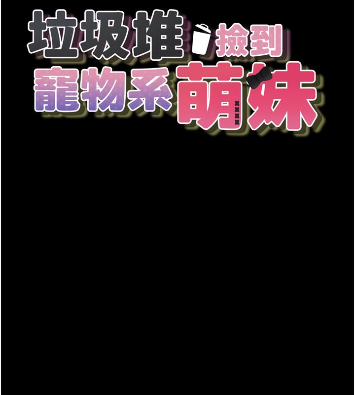 垃圾堆捡到宠物系萌妹