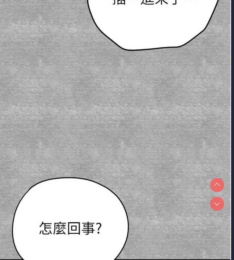 初次深交，请多指教