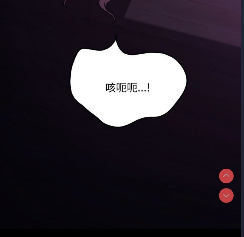 我家的赘婿大人