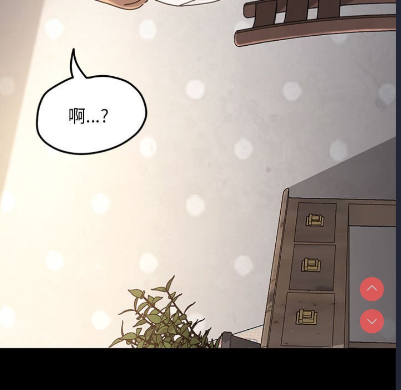 我家的赘婿大人