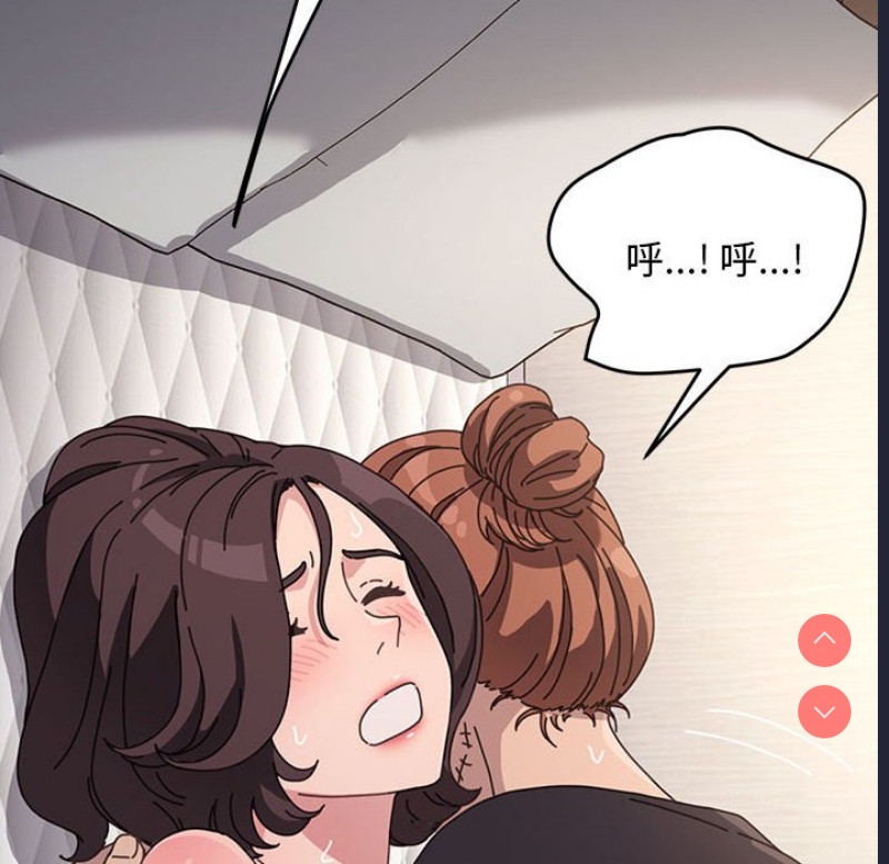 我家的赘婿大人