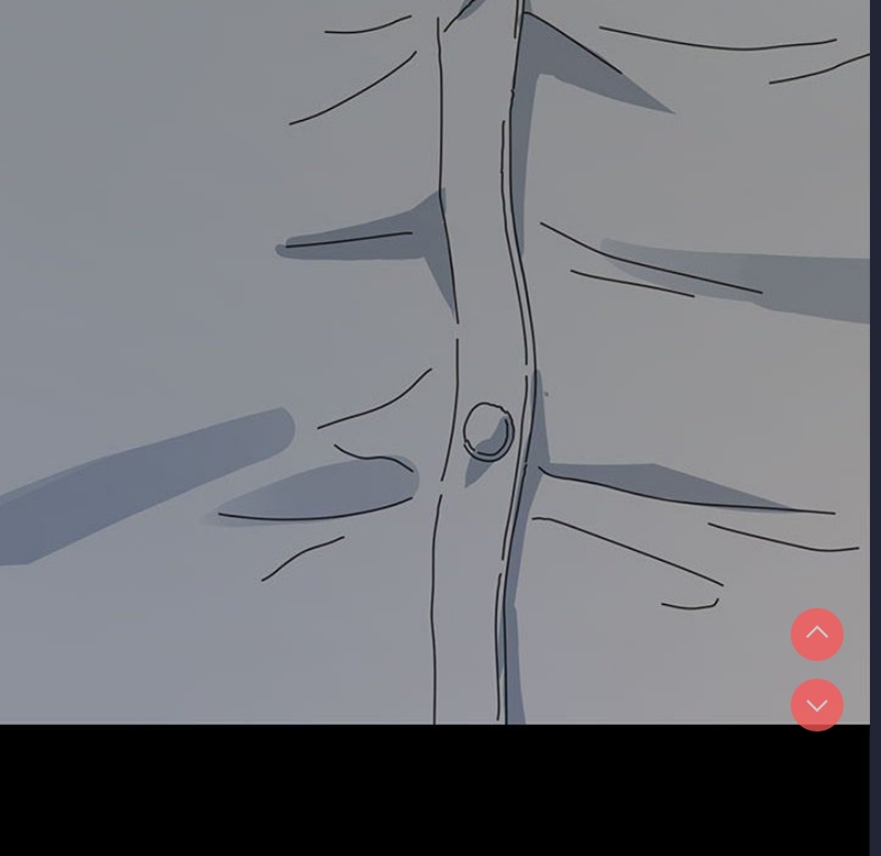 我家的赘婿大人