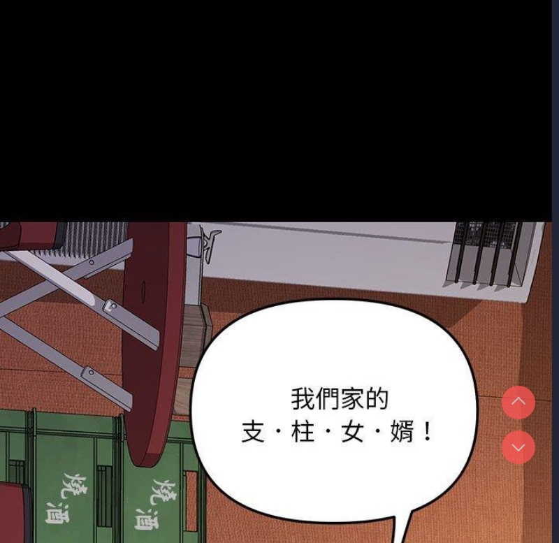 我家的赘婿大人