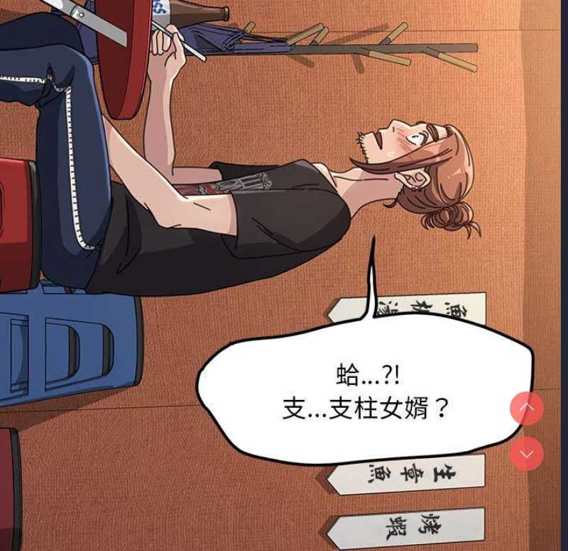 我家的赘婿大人